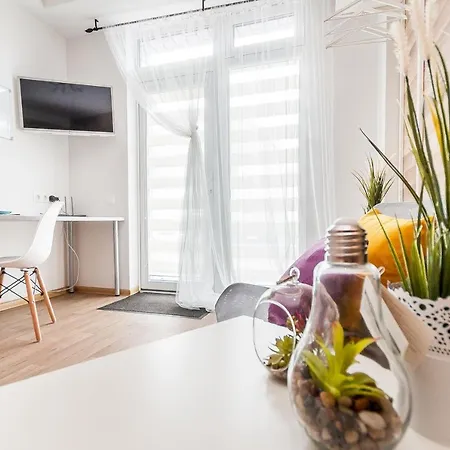 Apartmán Amber Zirmunai