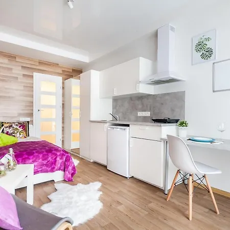 Apartament Amber Zirmunai Wilno